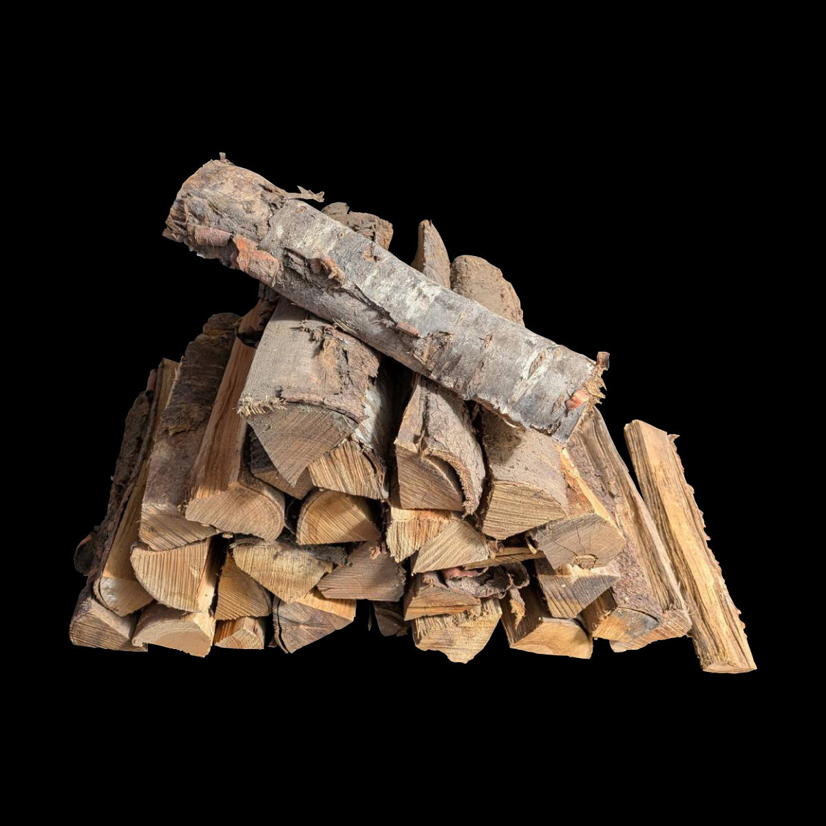 桜-サクラ(38cm-中割)