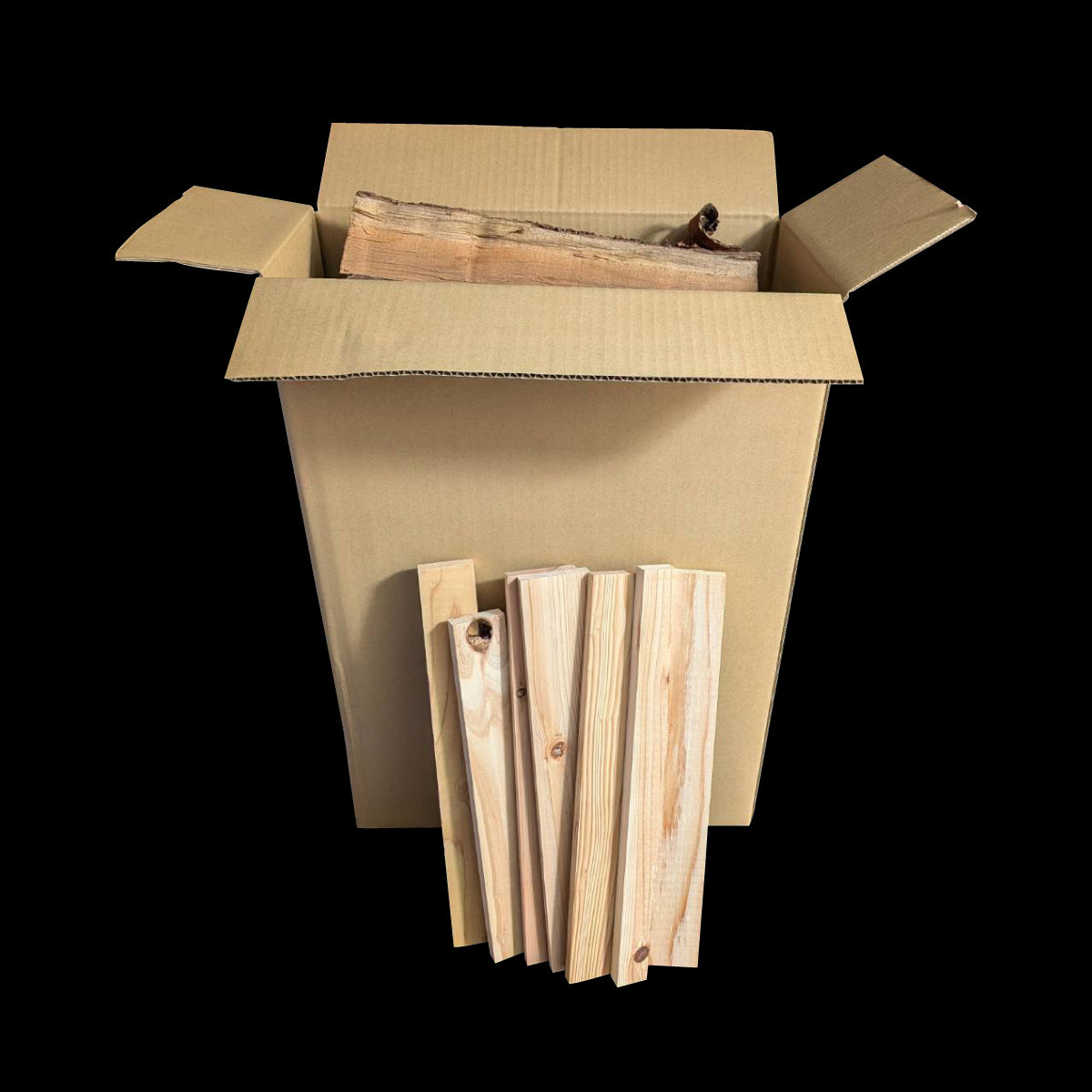 桜-サクラ(38cm-中割)