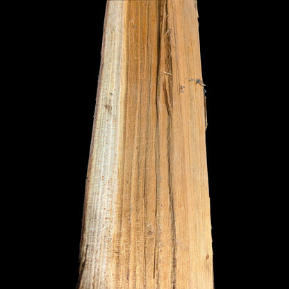 桜-サクラ（38cm-中割）